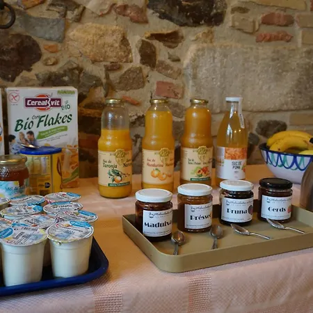 Country house Sant Dionis Campllong