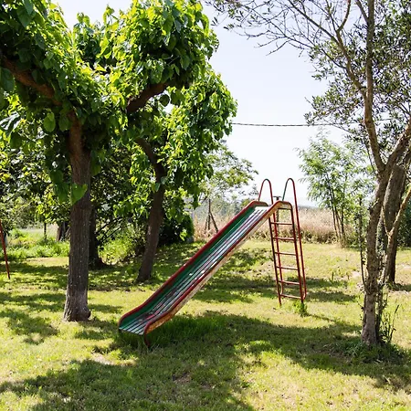 Sant Dionis *